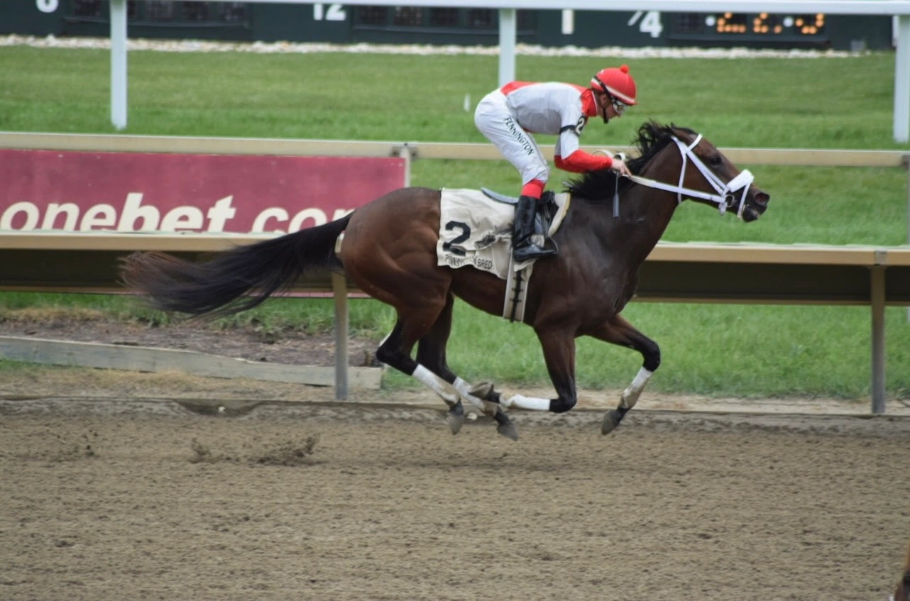 From row homes to country barns: How this city girl came to own racehorses